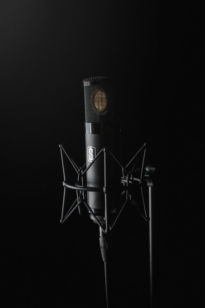 The Best Vocal Microphones