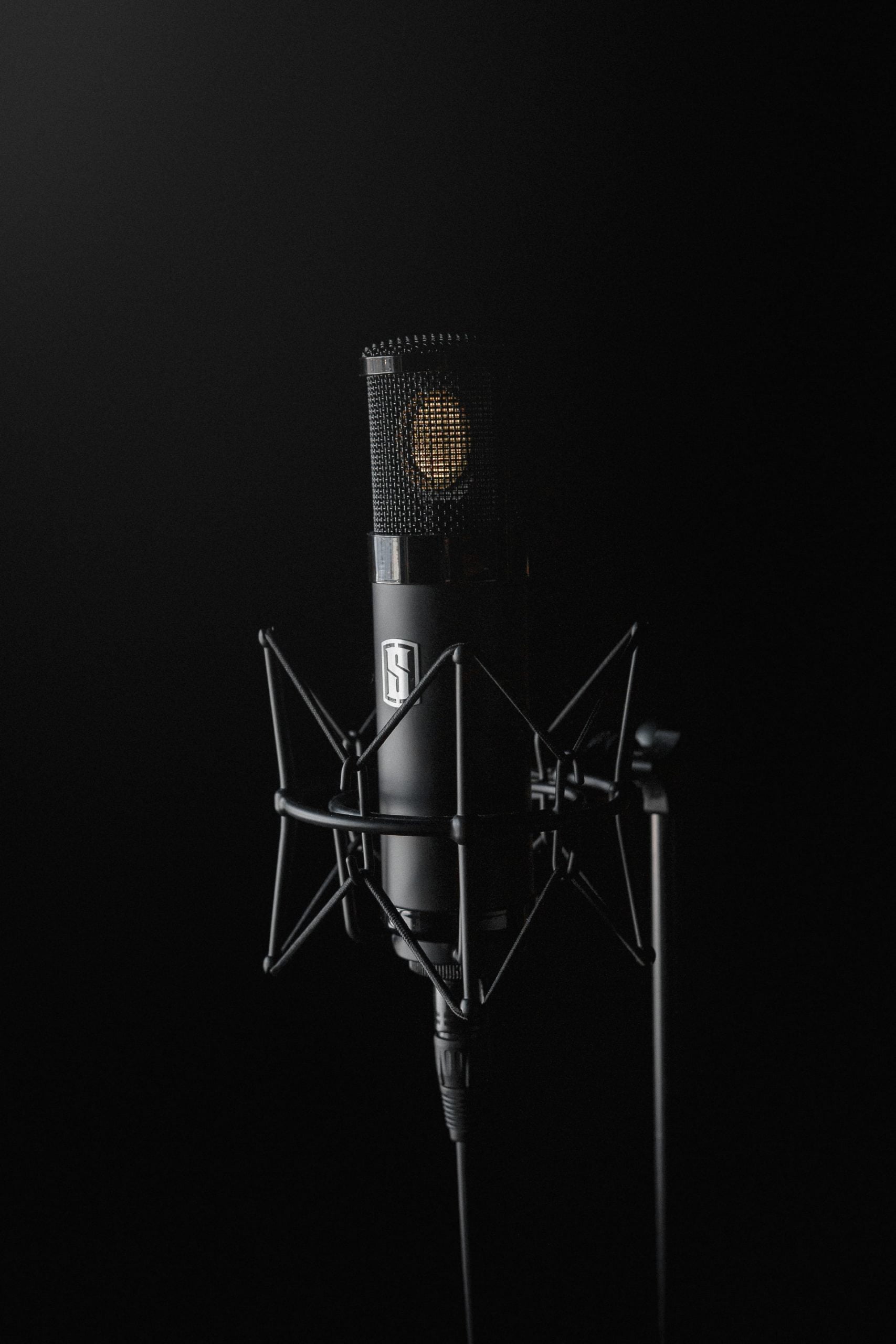 ᐅ The best microphones [Top 4 Guide] – Digital Forerunners